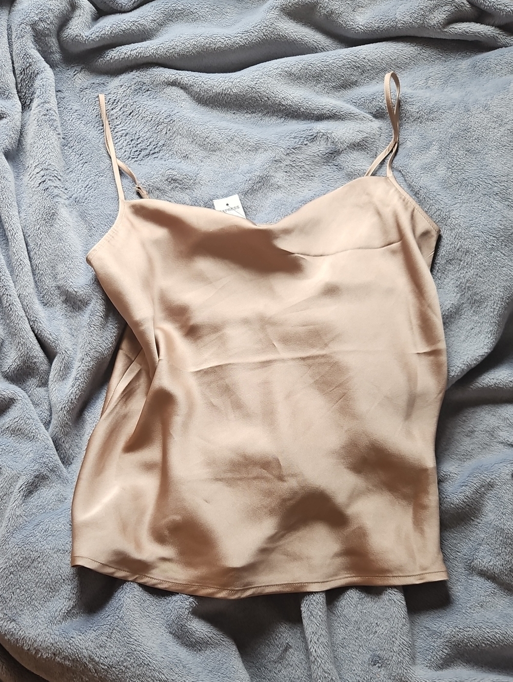 Express Satin Cami in Nude Blush